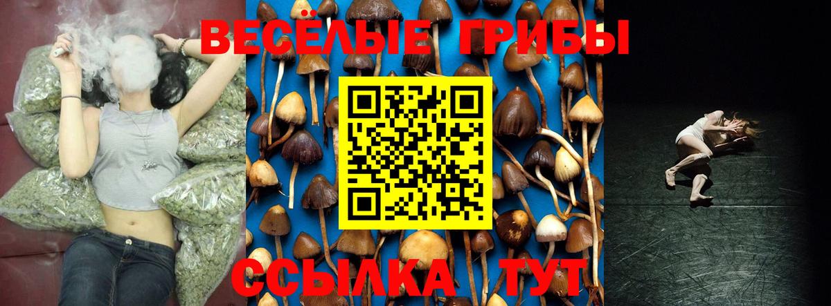 Галлюциногенные грибы мухоморы  Псилоцибиновые грибы Magic Shrooms  Зима  Вход с VPN 