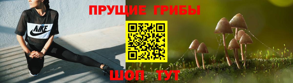 Канабис Зима
