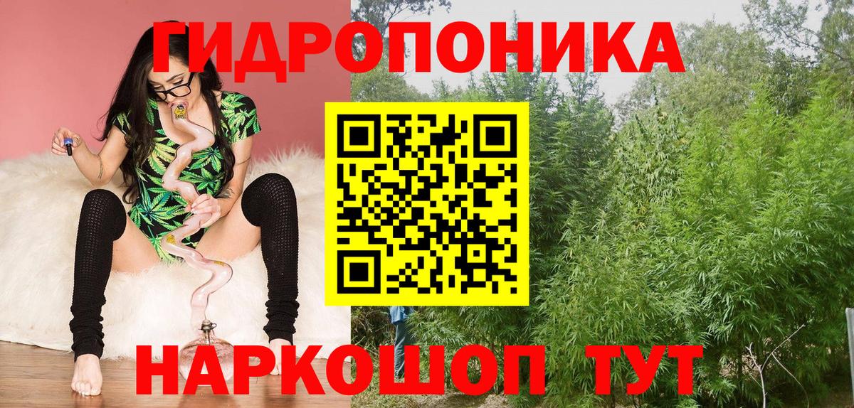 Конопля Amnesia Зима